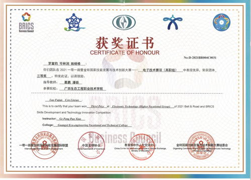 喜讯！我校代表队在2021一带一路暨金砖国家技能大赛电子技术赛项国内赛决赛中勇夺佳绩